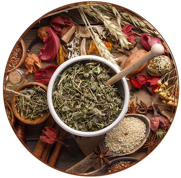 Conseillère en phyto nutrition à Aix en Provence 